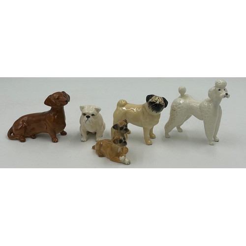 447 - A collection of Beswick dogs to include Pembroke Corgi, Cocker Spaniel, Springer Spaniel, German She... 