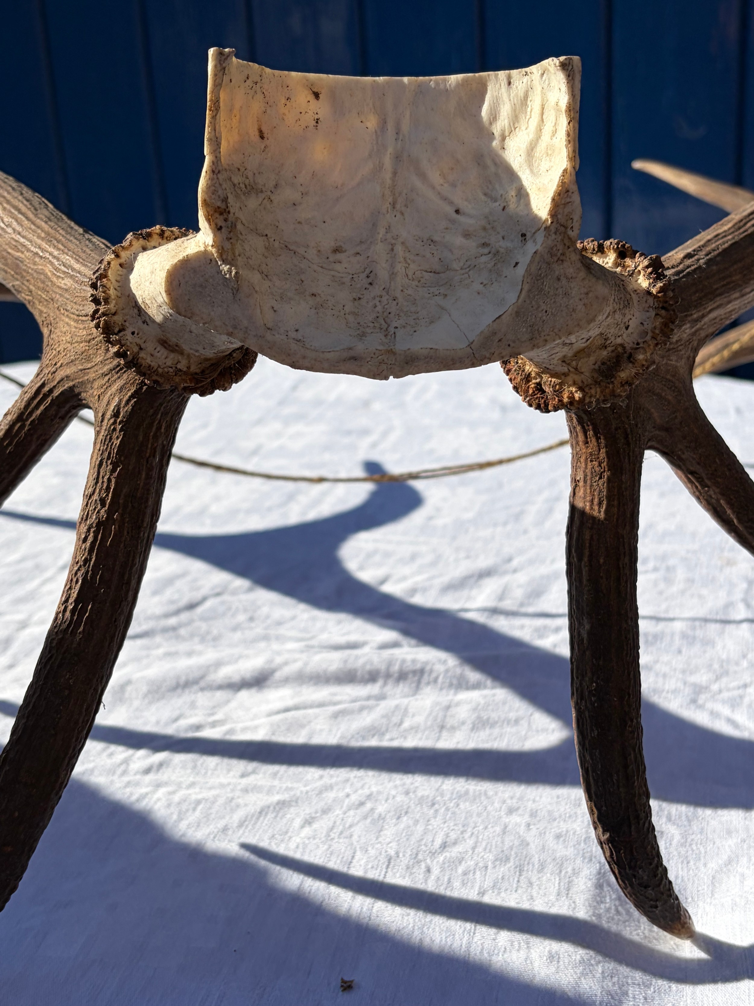 Two pairs of stag antlers, one with ten points , approx. 62cm to skull ...