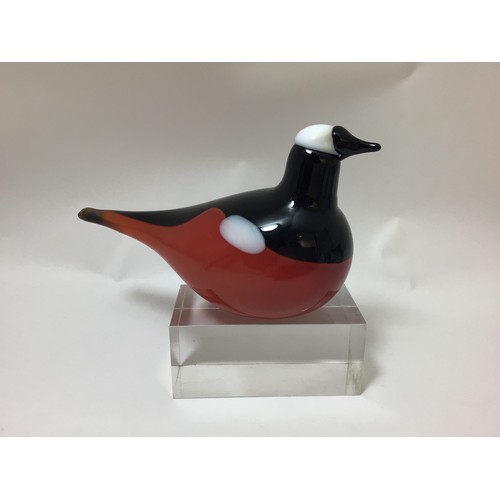 97 - Oiva Toikka for Iittala studio glass bird, ‘Mountain Redstart’, etched signature to base, 18cm long