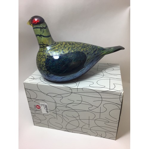 98 - Oiva Toikka for Iittala studio large glass bird ‘Capercaillie’, with etched signature to base, 30cm,... 