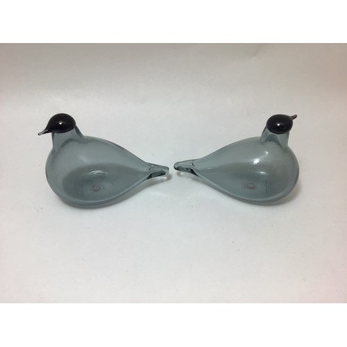 104 - A pair of Oiva Toikka for Iittala studio glass birds, both clear grey with black heads, both with et... 