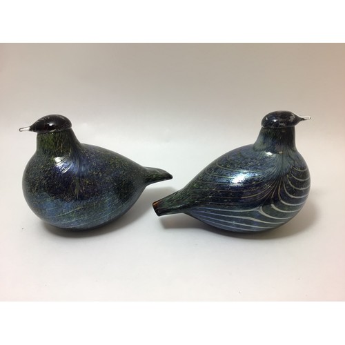 106 - A pair of Oiva Toikka for Iittala studio glass birds, ‘Northern Duck’, both with etched signatures t... 