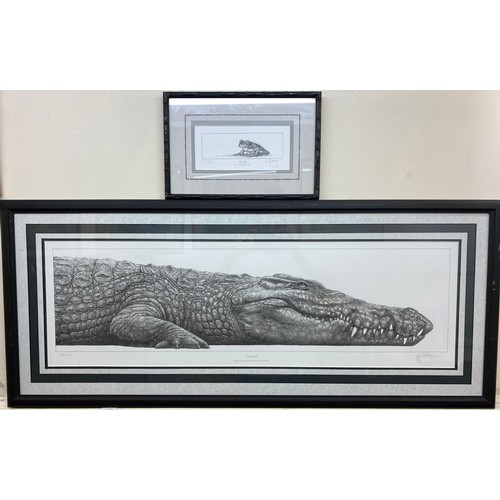 501 - Gary Hodges (b.1954) ‘Nile Crocodile’ and ‘Tree Frog’, pencil signed, limited edition prints number ... 