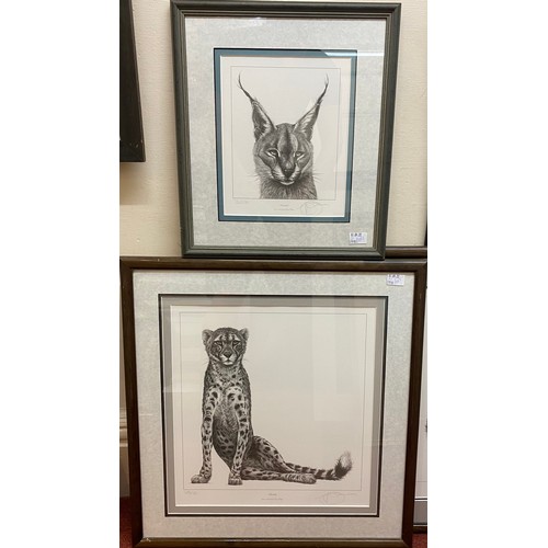 506 - Gary Hodges (b.1954) ‘Cheetah’ and ‘Caracal’ pencil signed, limited edition prints number 285/1250 a... 