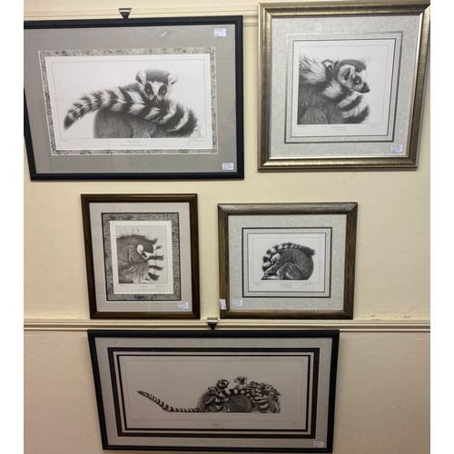 509 - Gary Hodges (b.1954) ‘Lemuriens’, ‘Ring-Tailed Lemurs’, ‘Ring Tailed Lemur’, ‘Demure Lemur’ and ‘Dre... 