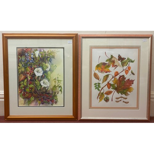 491 - Two various watercolour studies of flowers, leaves and fruit, the first entitled ‘Autumn Brilliance’... 