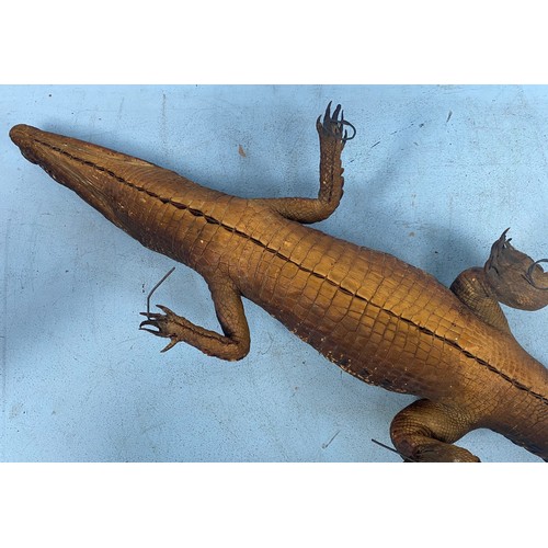 198 - A taxidermy study of a caiman / crocodile approx. 125cm long