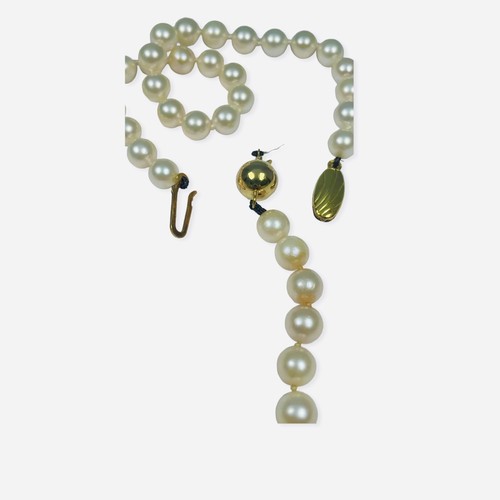 147 - A single row of cultured pearls, with 9ct gold ball fastening, (needs re-stringing) together with a ... 