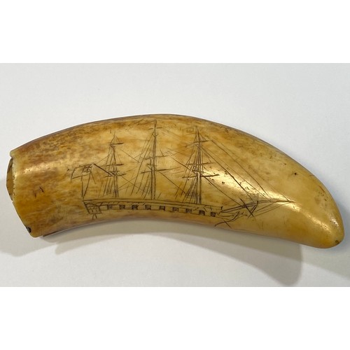 513 - A whale tooth scrimshaw carved with a three-masted man of war and a five-masted ship, initialled and... 