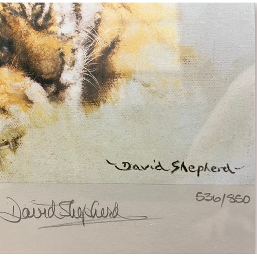 425 - David Shepherd OBE (b.1931 - 2017) ‘Teenage Tiger’, ‘Tiger Cubs’, ‘Tiger’s Head’ and ‘Quiet Time’, a... 