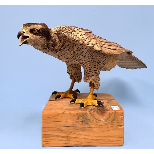 25 - A painted ceramic figure of a Goshawk, mounted on square wooden pedestal base, 49cm long, together w... 