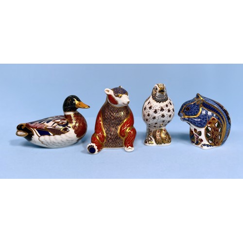 43 - Four assorted Royal Crown Derby paperweights including ‘Debenhams Squirrel’, ‘Song Thrush’ a duck an... 