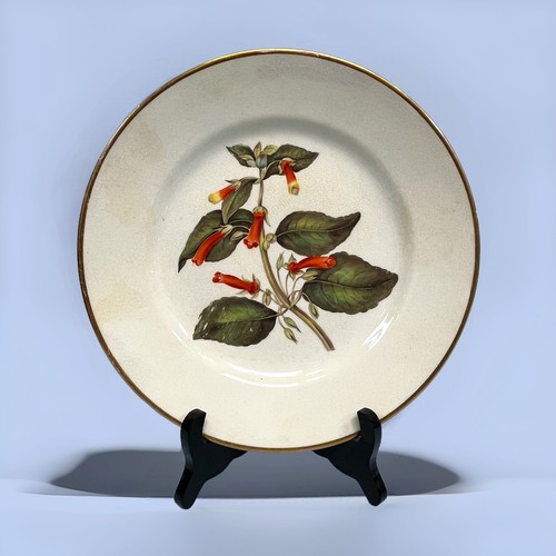 3 - A 17-piece early 19th century Derby porcelain Botanical dessert service, each piece finely painted w... 