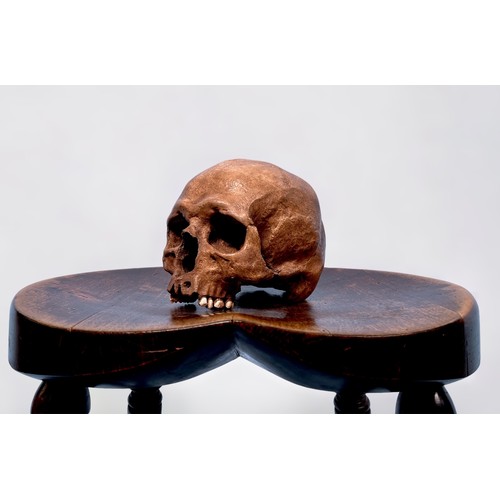 321 - A students anotimical human skull with removable craneum, together with a papiermache/composite skul... 