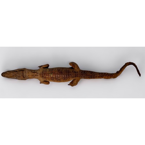 317 - A Taxidermy model of Caiman, (a/f) 75cm long