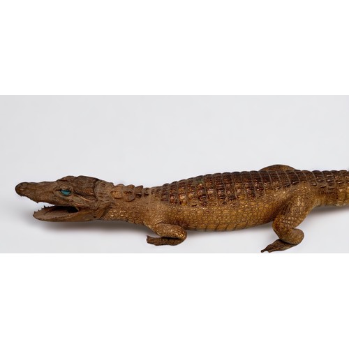 317 - A Taxidermy model of Caiman, (a/f) 75cm long