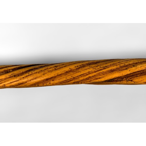 622 - A facsimile Narwhal tusk realistically modelled in resin, together with a simulated large Scrimshaw ... 