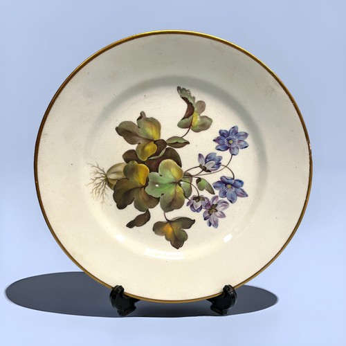 3 - A 17-piece early 19th century Derby porcelain Botanical dessert service, each piece finely painted w... 