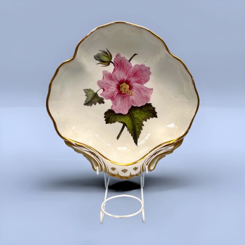 3 - A 17-piece early 19th century Derby porcelain Botanical dessert service, each piece finely painted w... 