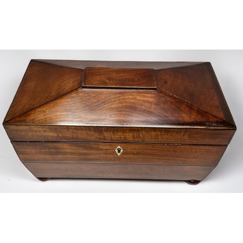 303 - An early 19th century mahogany tea caddy of sarcophagus form, with brass rose-and-ring side handles,... 