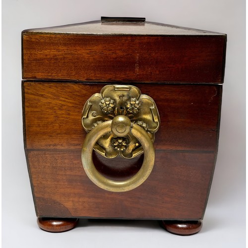 303 - An early 19th century mahogany tea caddy of sarcophagus form, with brass rose-and-ring side handles,... 