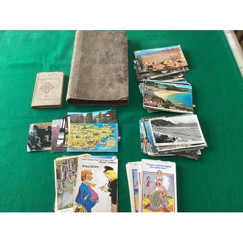 276 - An album containing about 97 greetings cards and approximately 40 standard-sized postcards of Souths... 