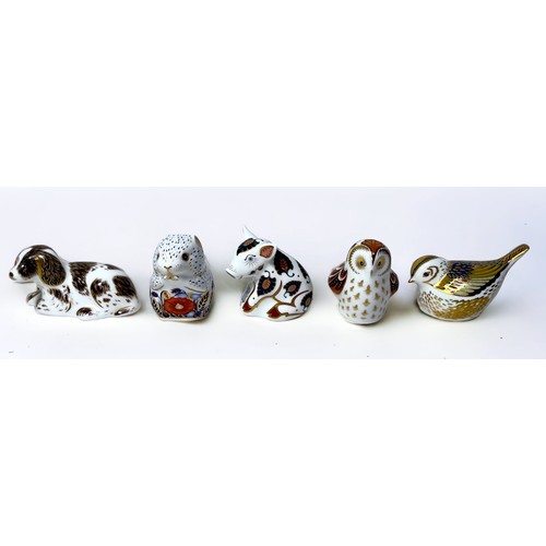 34 - Five Royal Crown Derby Porcelain paperweights, Poppy mouse, Scruff, Owlet, Snuffle, Firecrest