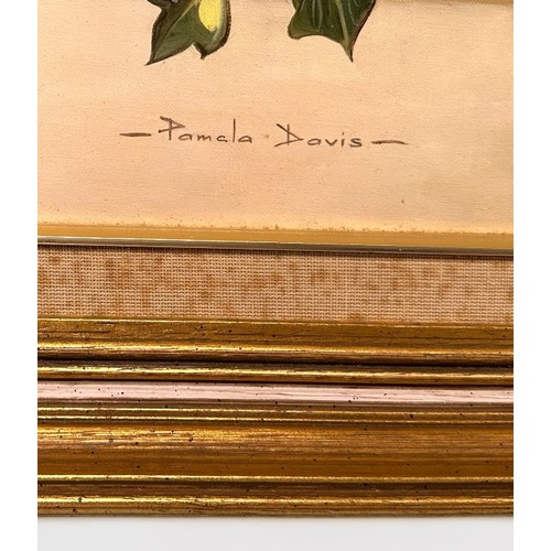 338 - Pamela Davis (1927 - 2019) Founding Member of the Society of Botanical Artists, ‘Carnations’, still ... 