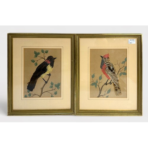 316 - Seven assorted Victorian feather and watercolour collages of birds, including a Guamirro, a Montero ... 