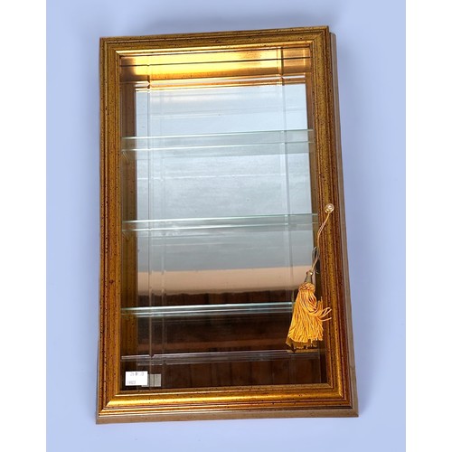 362 - A contemporary gold coloured tall, bevelled glass display cabinet, with single door enclosing four g... 