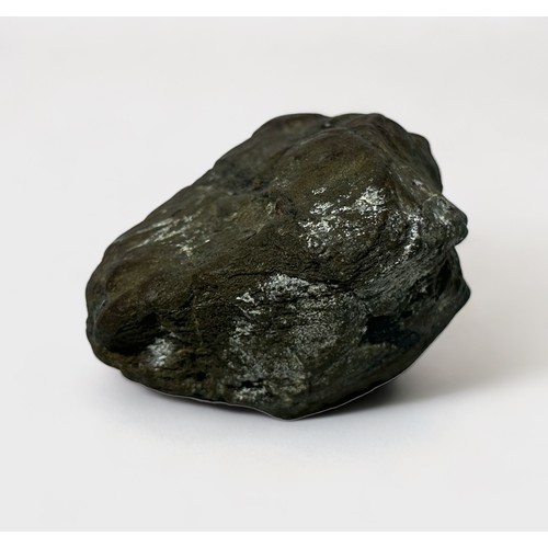 363 - A meteorite found in the mud flats at low tide by Portchester Roman Fort, Hampshire, England, weighi... 