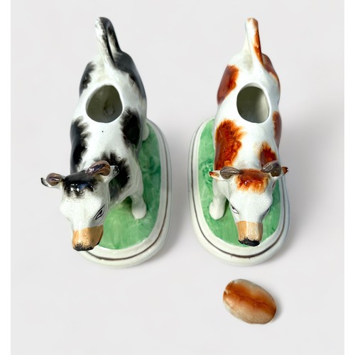 43 - A pair of 19th century pottery cow creamers, with removable covers, raised on naturalistic oval base... 