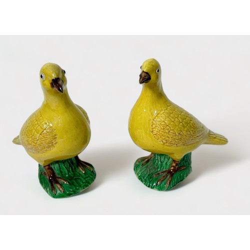 81 - A pair of Chinese Porcelain birds, decorated in Wucai colours with yellow, green and brown glazes, 1... 