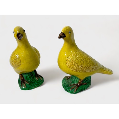 81 - A pair of Chinese Porcelain birds, decorated in Wucai colours with yellow, green and brown glazes, 1... 