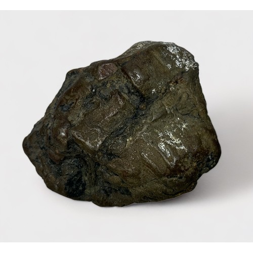 445 - A rock, possibly a meteorite found in the mud flats at low tide by Portchester Roman Fort, Hampshire... 