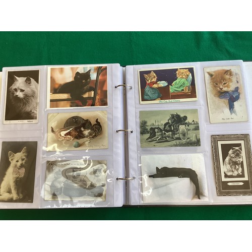 326 - An album containing approximately 220 postcards of cats – nearly all standard size but up to half a ... 