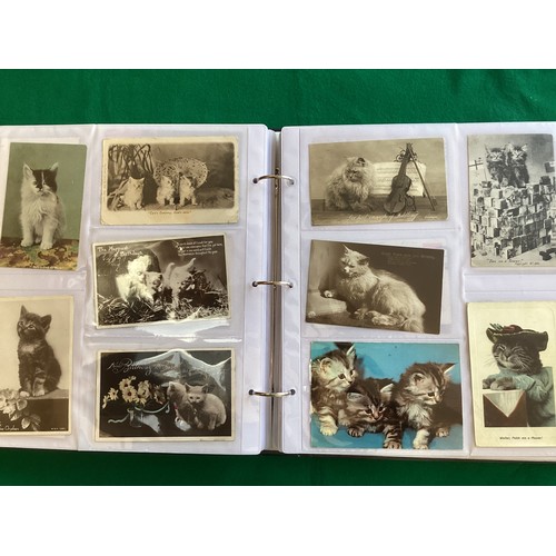 326 - An album containing approximately 220 postcards of cats – nearly all standard size but up to half a ... 