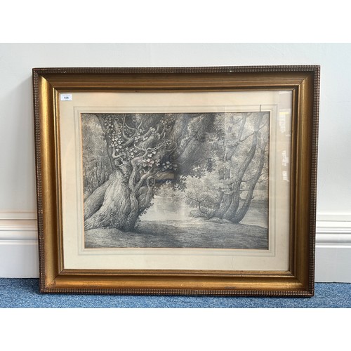 636 - A 19th Century School country landscape study, depicting ivy-clad leaning tree with more trees beyon... 