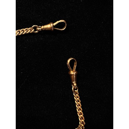 143 - A 9ct gold curb Albert chain with two dog clips, t-bar and bloodstone and carnelian swivel fob, gros... 