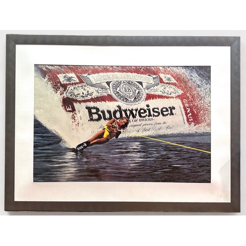 572 - Two large Budweiser water sports advertising prints, depicting a woman water skiing and a man surfbo... 