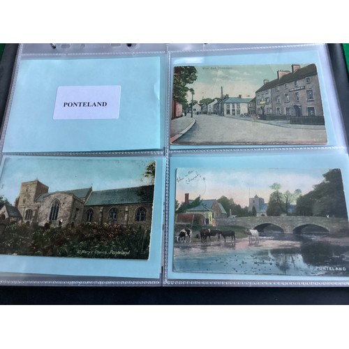 310 - Two albums containing around 300 standard size postcards of the Northumberland area. Lots of buildin... 