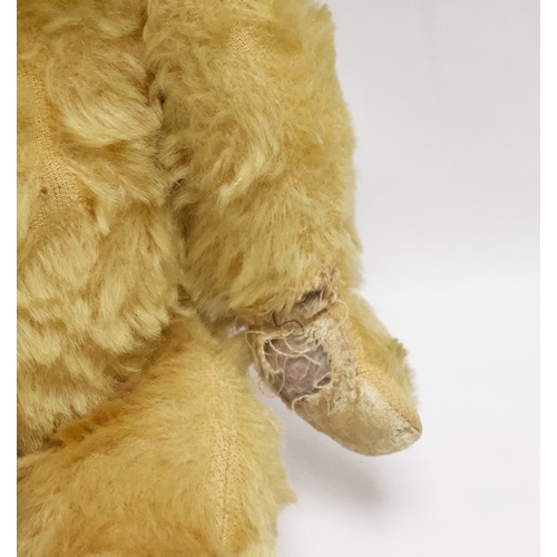 475 - A 1960s jointed blonde mohair teddy bear, with amber and black glass eyes and black vertically stitc... 