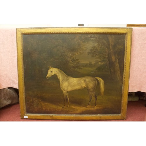 610 - A 19th century English school study of a dapple grey horse in a wooded landscape, unsigned, oil on b... 