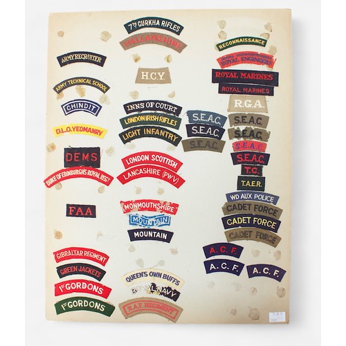 190 - Fifteen card sheets displaying a good collection of assorted cap badges and patches including exampl... 