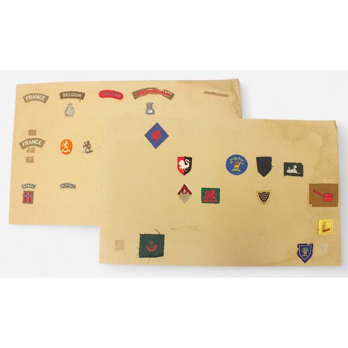 190 - Fifteen card sheets displaying a good collection of assorted cap badges and patches including exampl... 