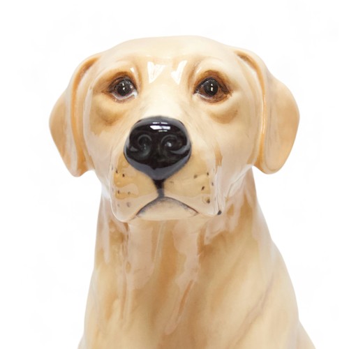 13 - A large Beswick seated fireside Golden Labrador, model no. 2314, printed and impressed marks to base... 