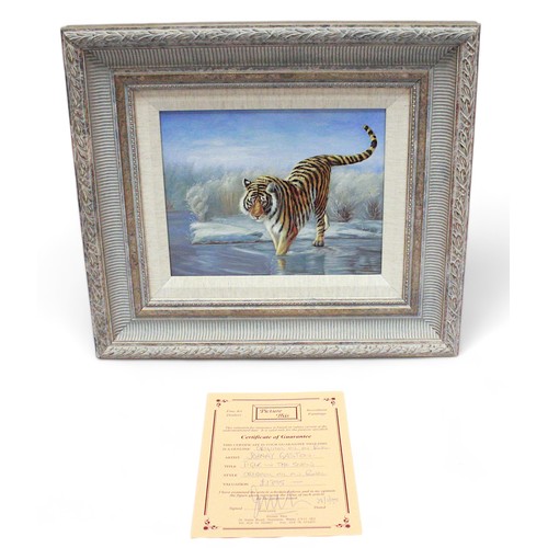 672 - Johnny Gaston (Scottish B.1955) ‘Tiger in the Snow’, signed, oil on panel, framed. 19 x 24cm, with c... 