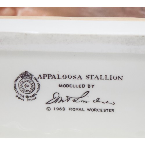 40 - A Royal Worcester unglazed porcelain figure, ‘Appaloosa Stallion’, without jockey, on wooden plinth ... 