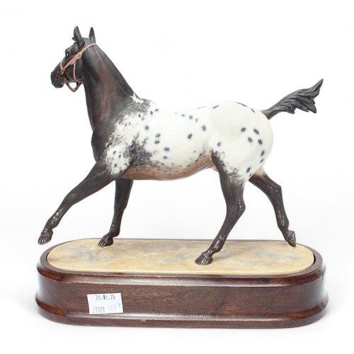 40 - A Royal Worcester unglazed porcelain figure, ‘Appaloosa Stallion’, without jockey, on wooden plinth ... 