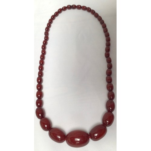 262 - Two strands of graduated oval cherry amber coloured beads, the smaller strand with silver clasp, the... 